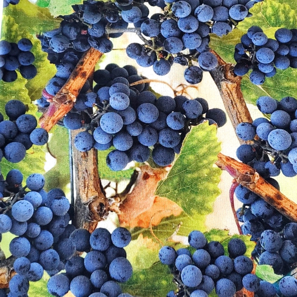 "Trough the Vine"Hoffman Spectrum Print California Fabrics 36x44 quilting cotton
